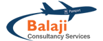 balaji consultancy service